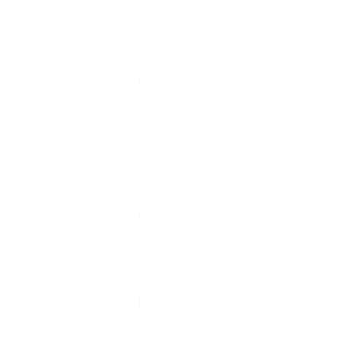 Vulnerability Assessment